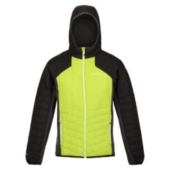 Regatta Mens Trutton Hooded Soft Shell Jacket (Bright Kiwi/Black)
