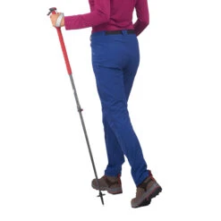 1 All Season Hiking Pole -Hiking Gear Shop k609204af92ad3948200e152f9a2714df