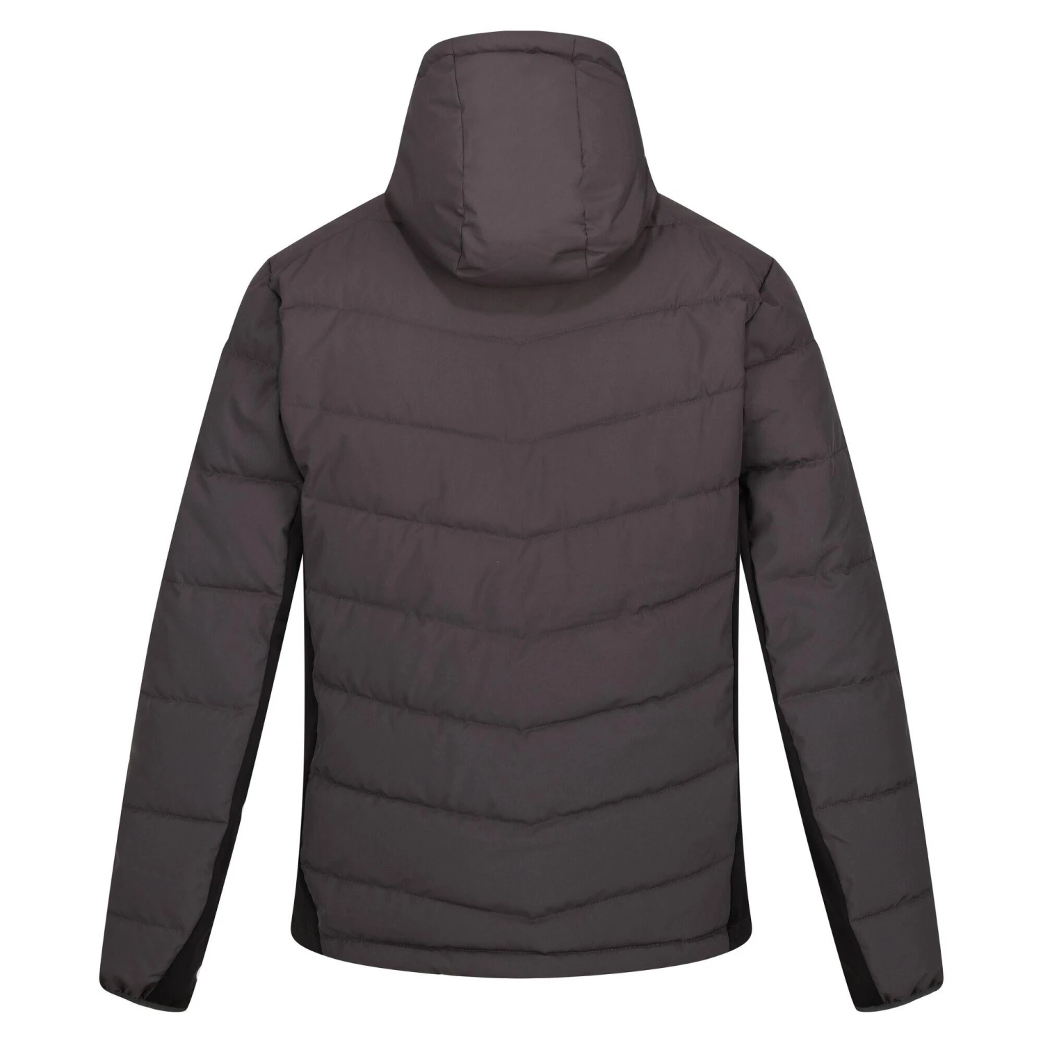 Regatta Men's Cranmore Puffer Jacket 4 Regatta Men's Cranmore Puffer Jacket - Image 4