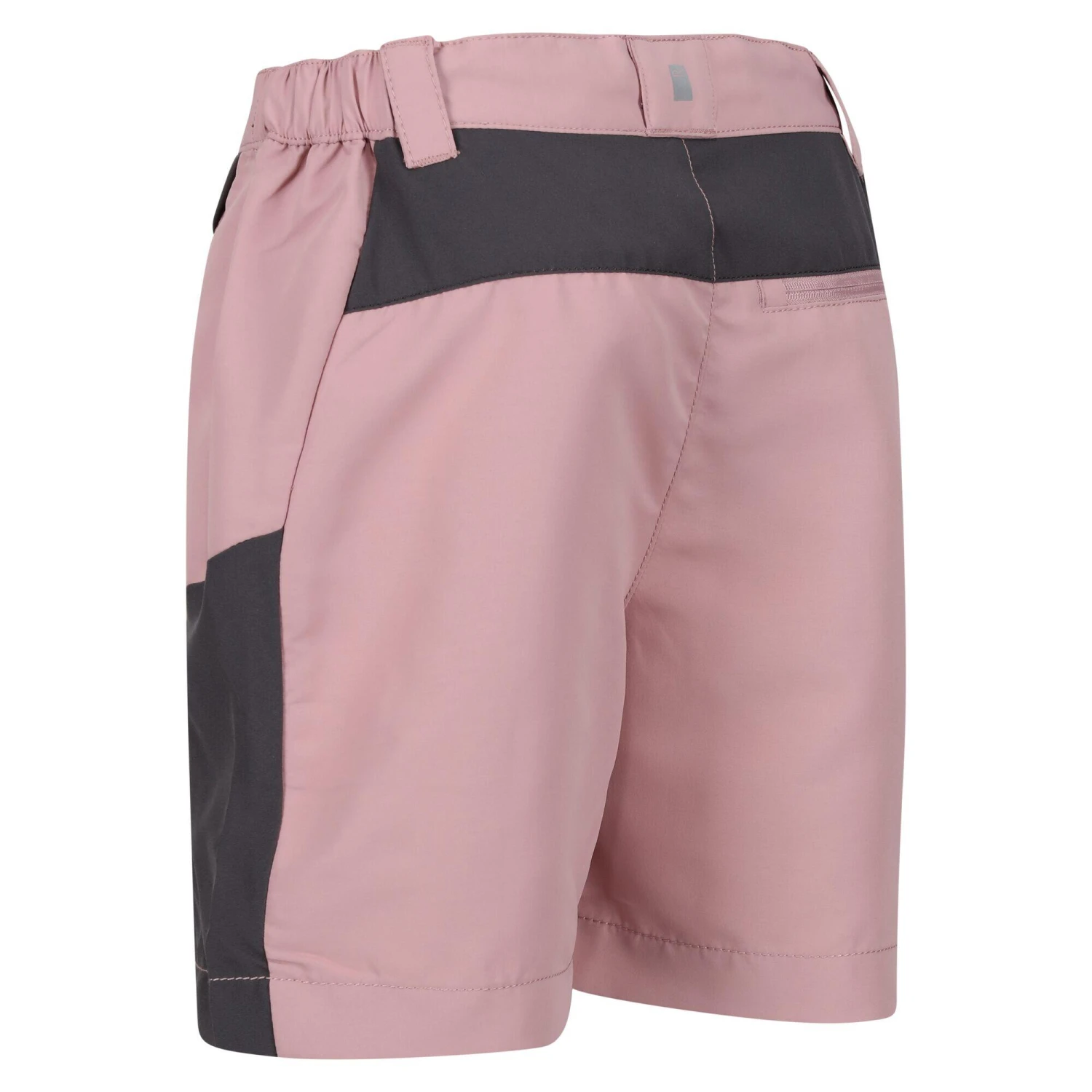 Regatta Sorcer Mountain III Kids' Hiking Shorts 2 Regatta Sorcer Mountain III Kids' Hiking Shorts - Image 2