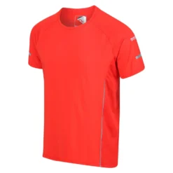Regatta Highton Pro Men's Walking Short Sleeve T-Shirt