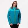Regatta Womens/Ladies Carletta III Hooded Jacket (Pearl Gentian Blue/Pastel Blue)